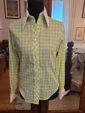 Vintage Light Green Gingham Button-Down Shirt with Contrast Eyelet Collar